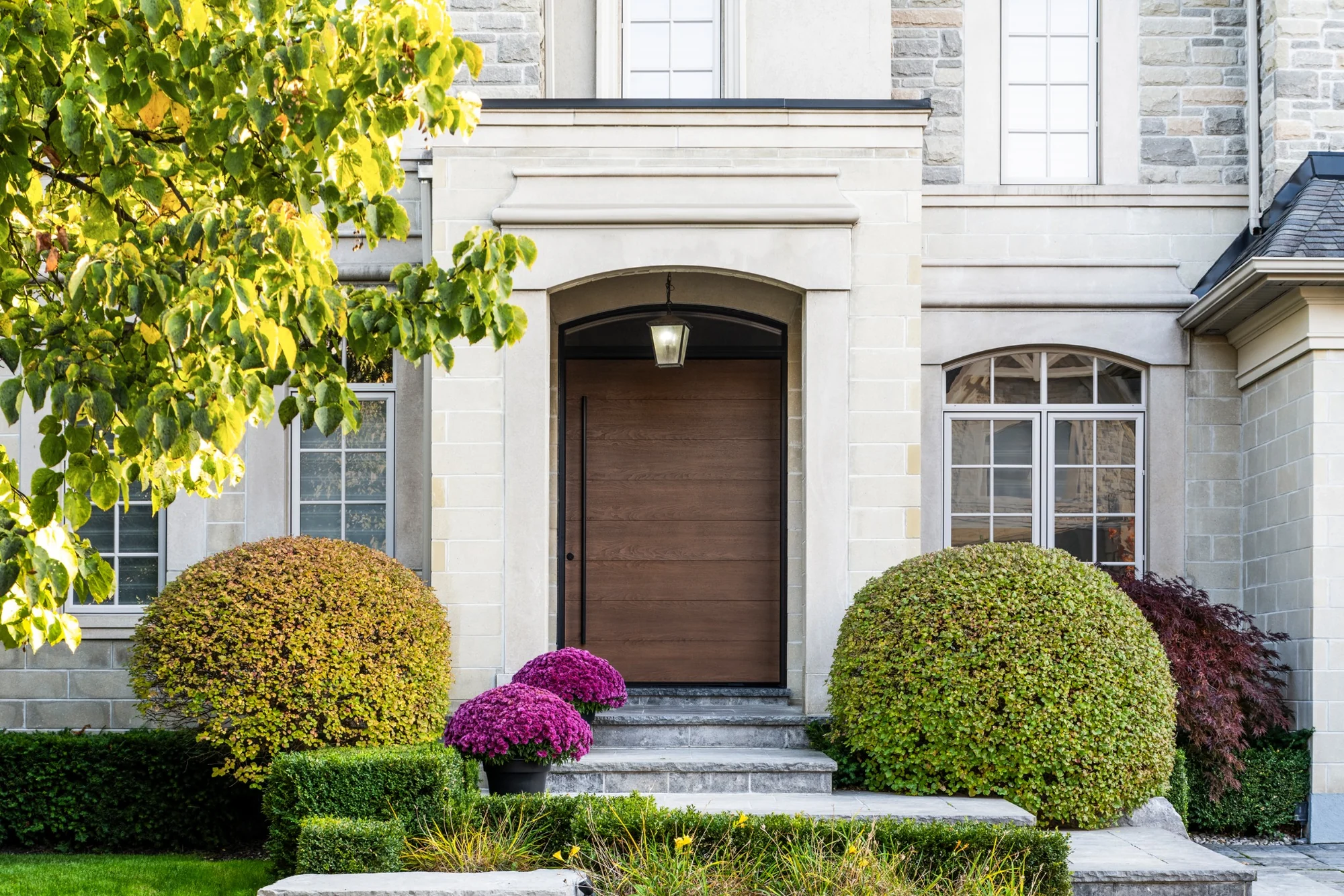 Modern exterior with broad walnut-toned pivot door